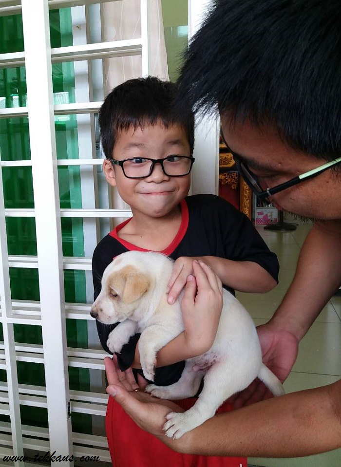 MilkyOur Very First Pet Dog [PICS] Tekkaus® Malaysia Lifestyle