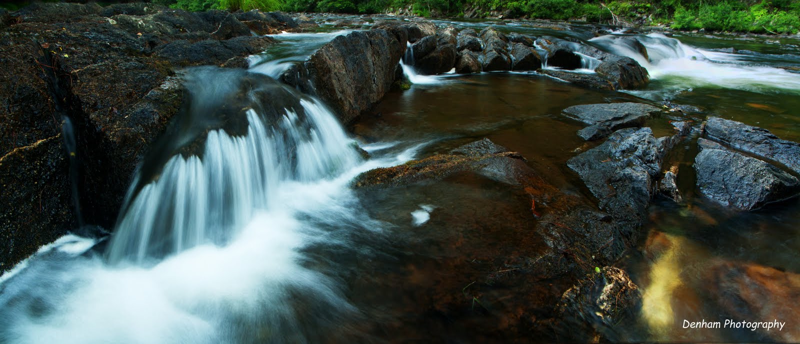 Denham Photography THE WILDCAT