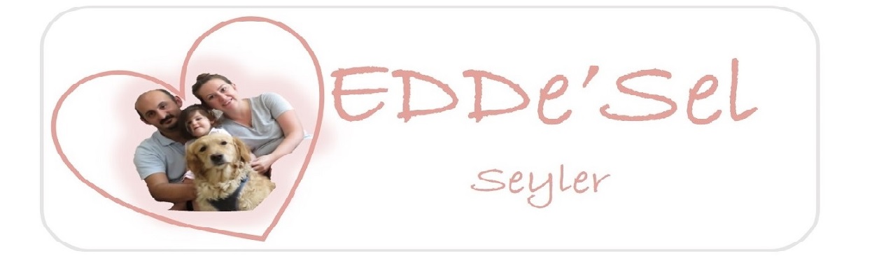 EDDe'Sel Seyler