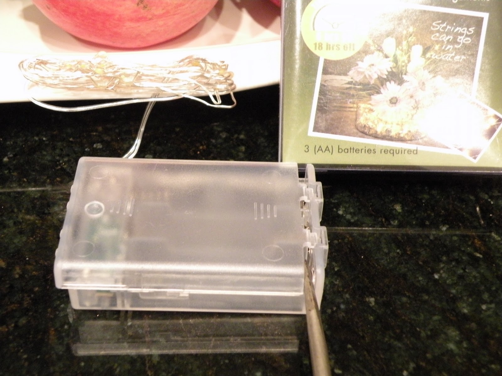 Chickadee Home Nest Cool Battery Christmas Lights