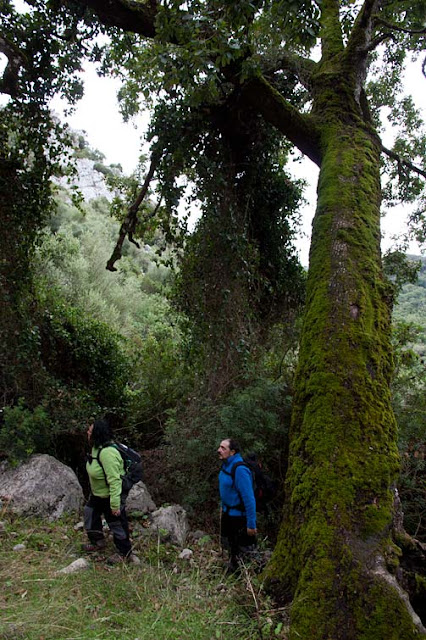 enruta2 Cueva de La Motilla