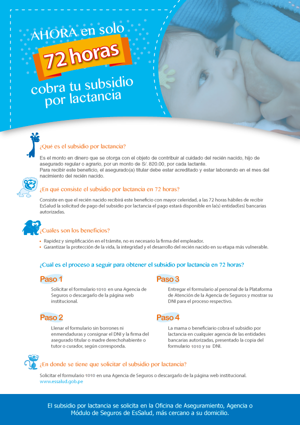 TRABAJADOR SOCIAL EN LA RED SUBSIDIO POR LACTANCIA ESSALUD