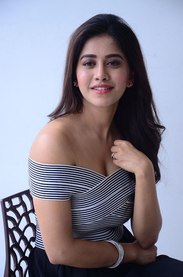 Nabha Natesh at Nannu Dochukunduvate Interview