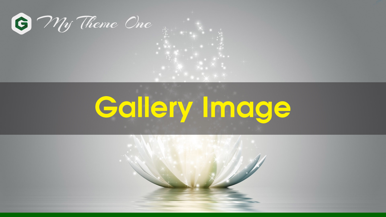 Đoạn Code "Gallery Image" Trong My Theme One