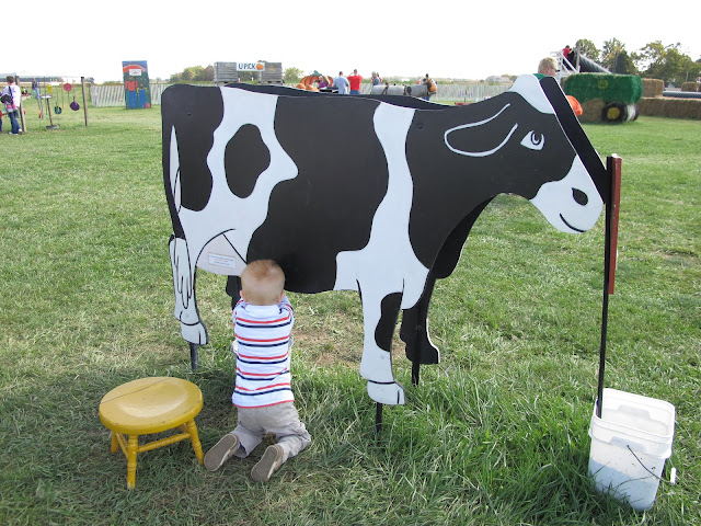 Porter's Cow Milking Adventure