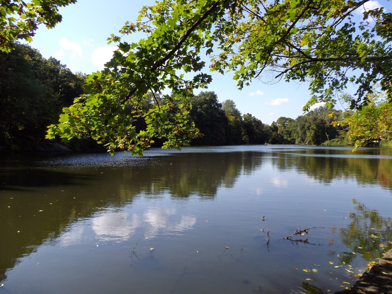 The Great Lakes of NYC Sheldrake Lake