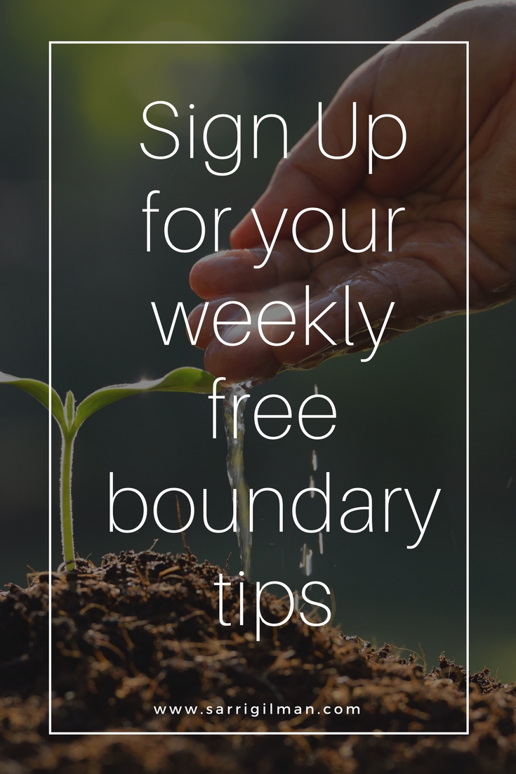 Click on image for your free boundary tips