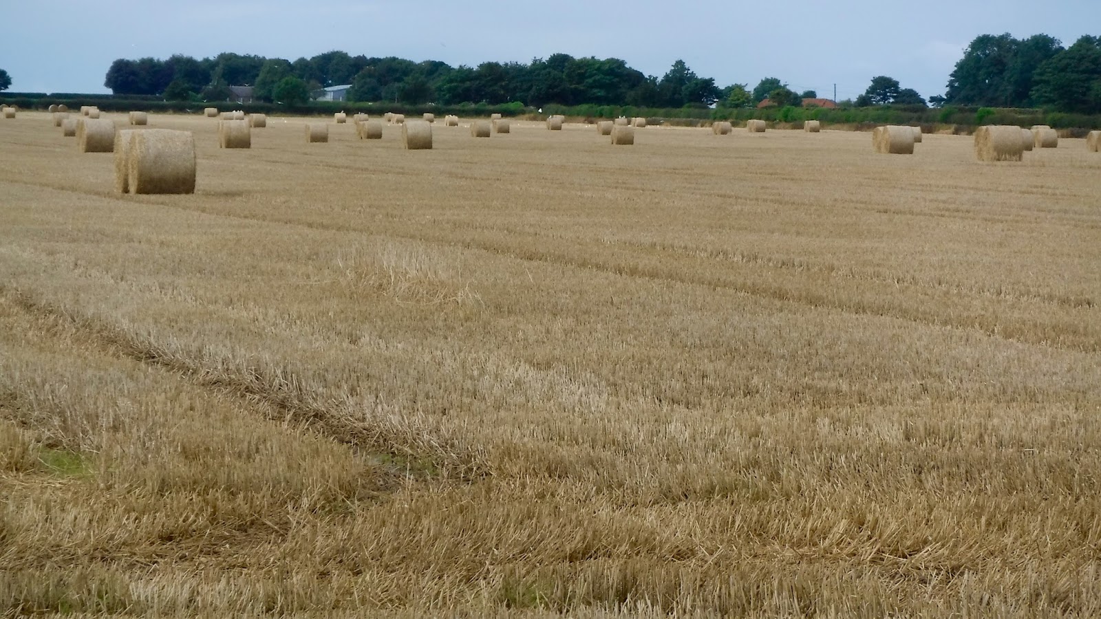 weekend cycling trips