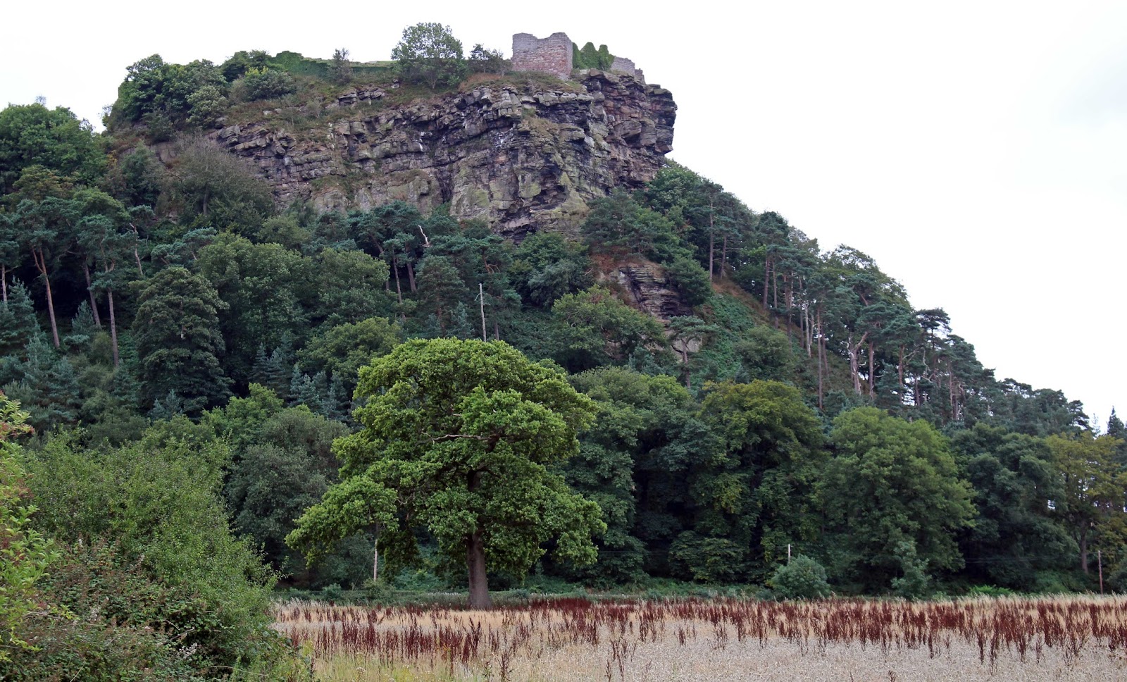 sconzani Cheshire the mighty Beeston Castle