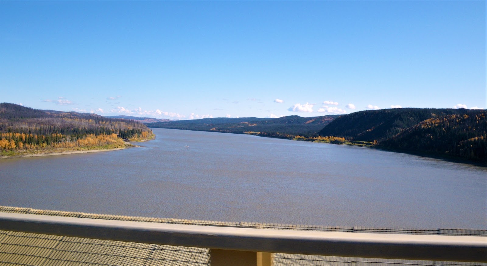 Mighty Yukon River trips Wonderful Adventures with My two Dogs