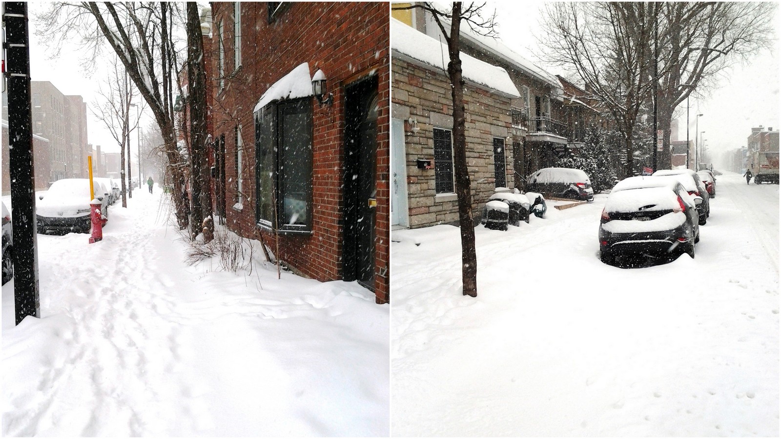 Notre Vie A Montreal Sans Voiture