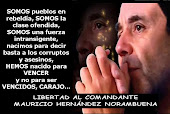 Campaña por la liberación de Mauricio Hernández Norambuena, Comandante Ramiro