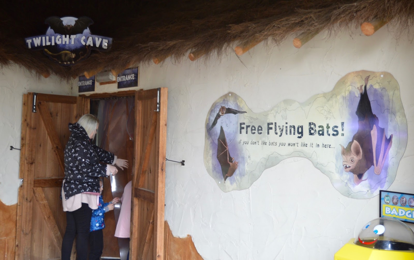 How to Spend 5 Hours at West Midland Safari Park with Older Children