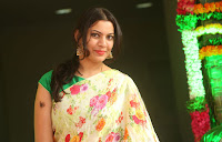 Geetha Madhuri Stills in Saree at Shankarabharanam Film Awards  TollywoodBlog