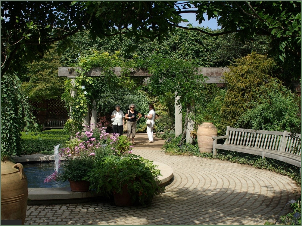 Plant Gallery - Encyklopedia Roślin: