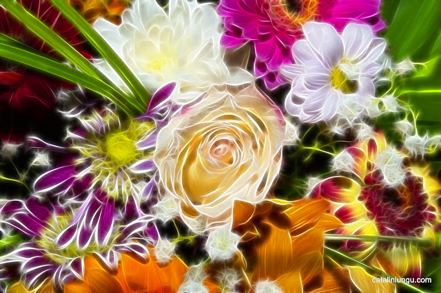 colorful bouquet - fractal flowers