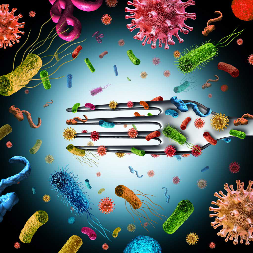 Картинки патогенные микроорганизмы