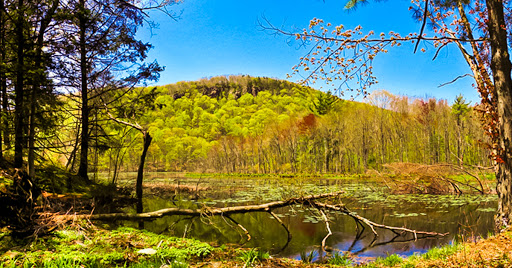 Bluff Head Mattabesett Trail