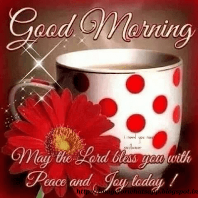 Good Morning With Blesses and good Wishes on Whatsapp