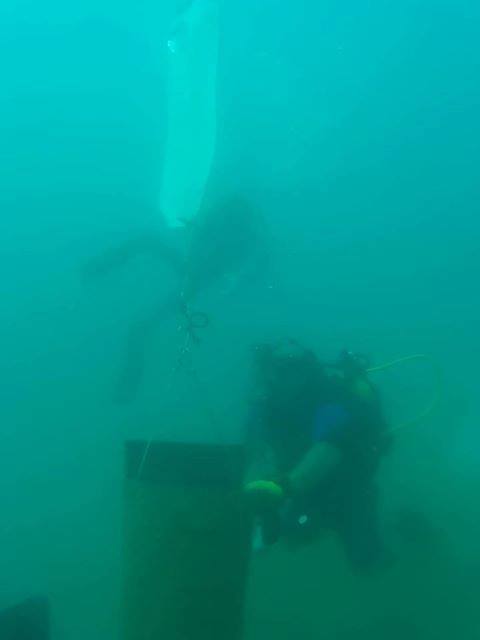 43527141_2321987084691341_9213426477440172032_n 43527141_2321987084691341_9213426477440172032_n