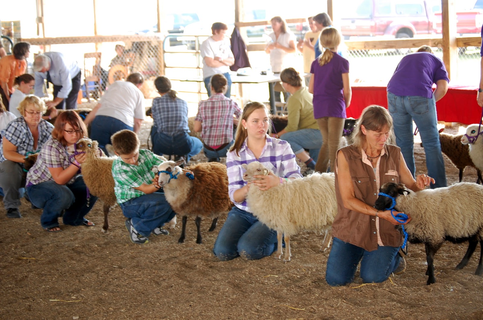 Crosswinds Farm Wisconsin Sheep and Wool festival