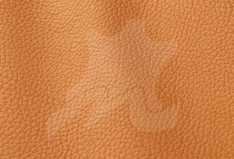 Piele naturala tapiterie canapele Atlantic - Piele Naturala pret 45 euro metru | Piele-naturala-Atlantic-Arancio-511 Piele naturala tapiterie canapele Atlantic - Piele Naturala pret 45 euro metru | Piele - naturala - pret - Atlantic - Arancio-511