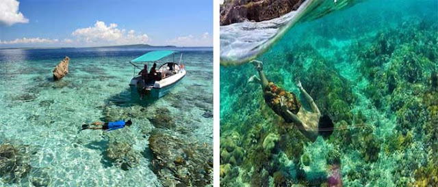 Destinasi Favorit Untuk Diving Dan Snorkeling Di Nusa Tenggara Timur 