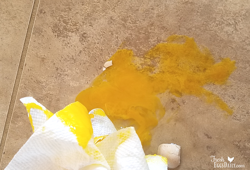 How To Clean A Broken Egg Off the Kitchen Floor Fresh Eggs Daily