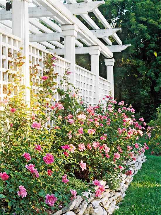 12 DIY Trellis Designs for Privacy 12 DIY Trellis Designs for Privacy