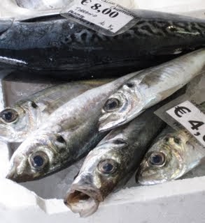 Al mercato – pesce in pescheria window in Amalfi.