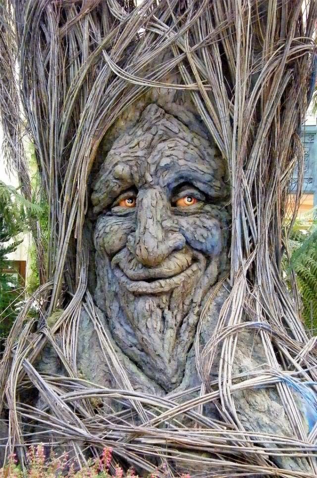 funny absurd funny tree