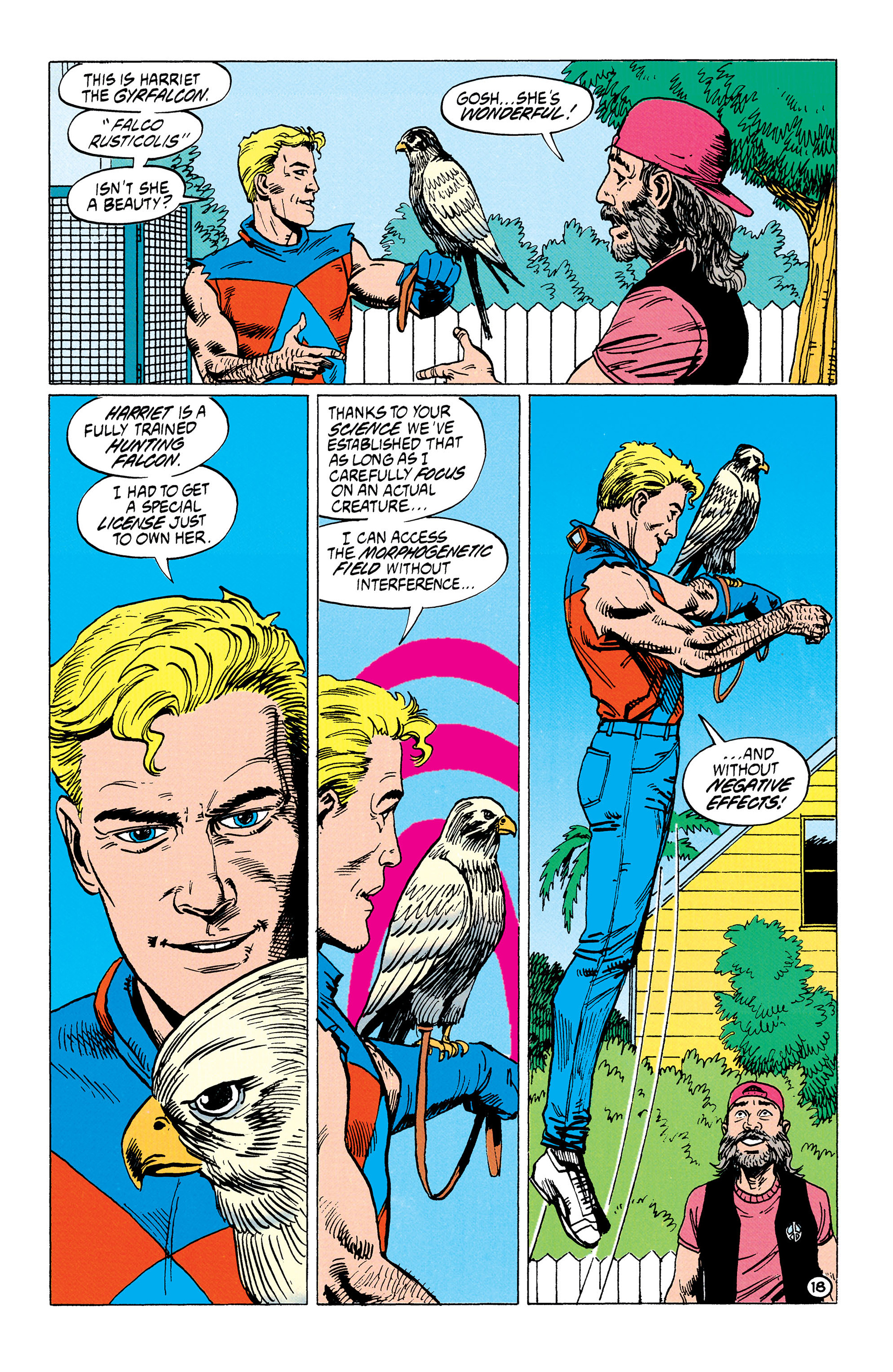 Read online Animal Man (1988) comic -  Issue #36 - 19