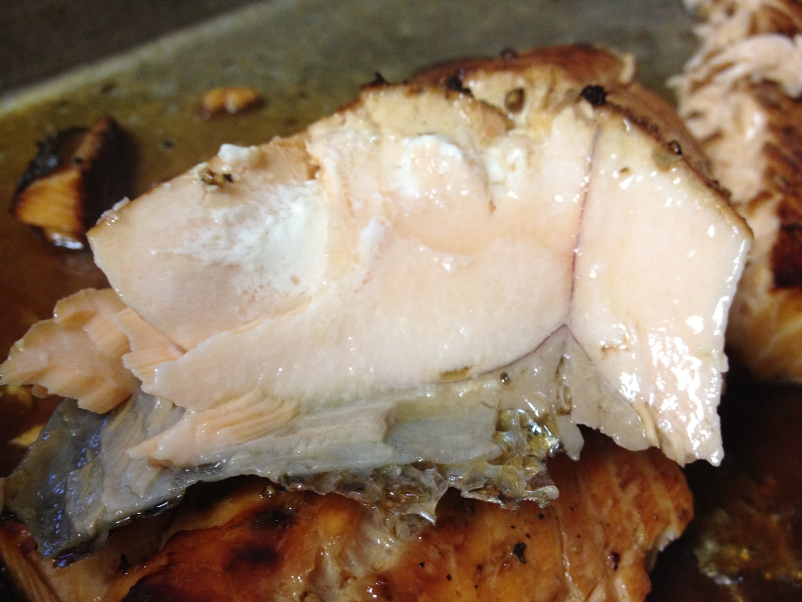 Tracy Cooks in Austin: Salmon and Sticky Rice