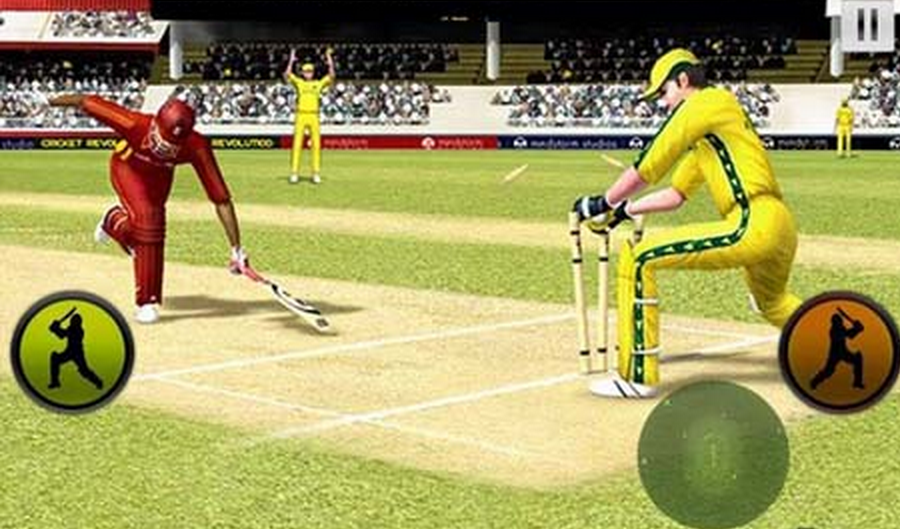 Pepsi IPL 6 Cricket 2014 Free Download PC