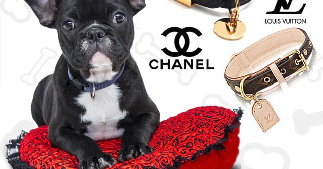 Buy Luxury Dog Accessories Online