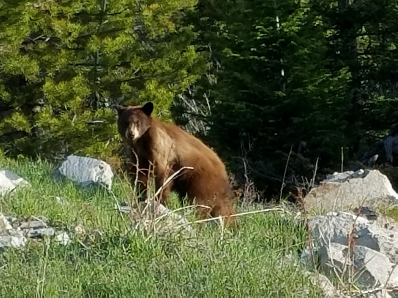 Montana Knights Fruit Bowl Highline Area near Moab, Utah