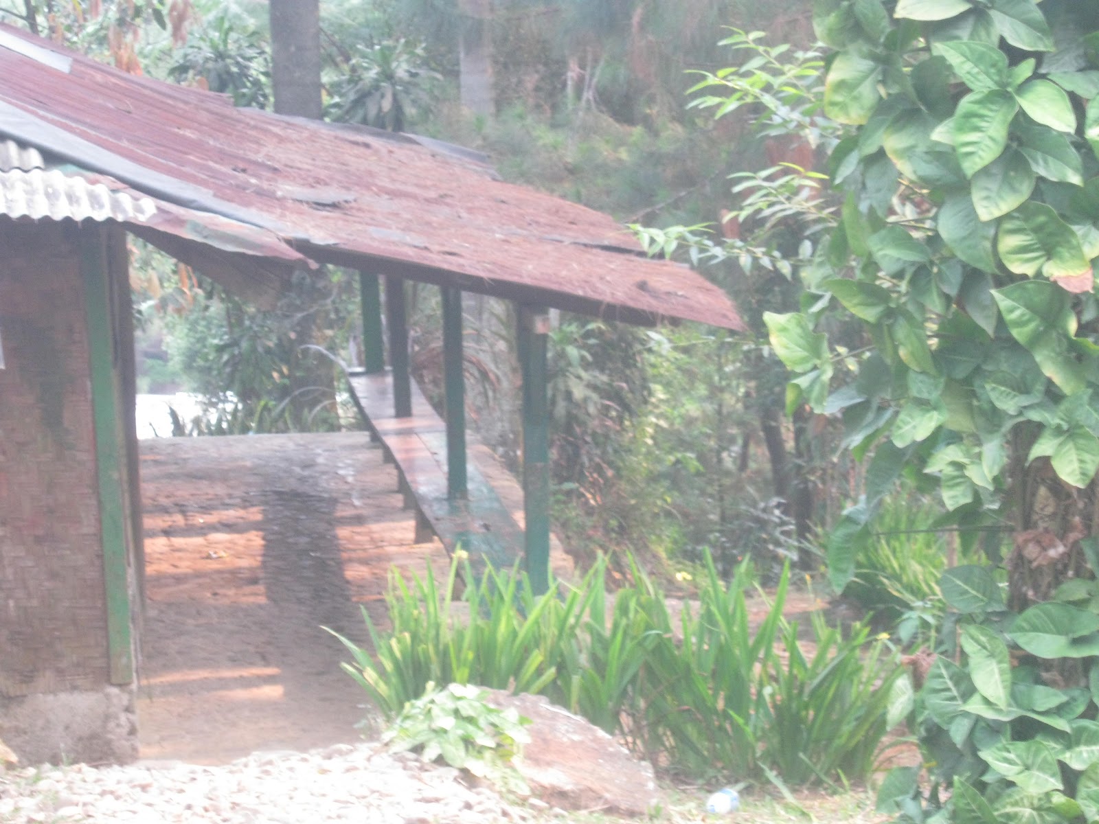 Camp at Curug Panjang Mega Mendung | salam rimba..
