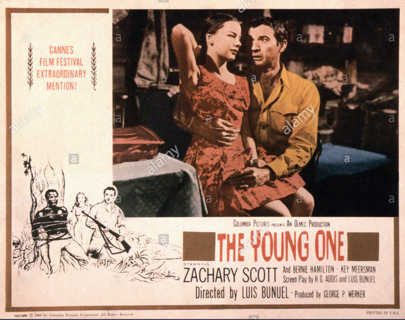 The Young One 2