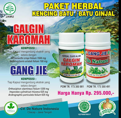 obat kencing batu