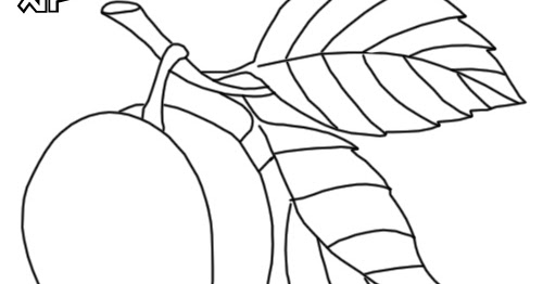 gambar mewarnai mangga