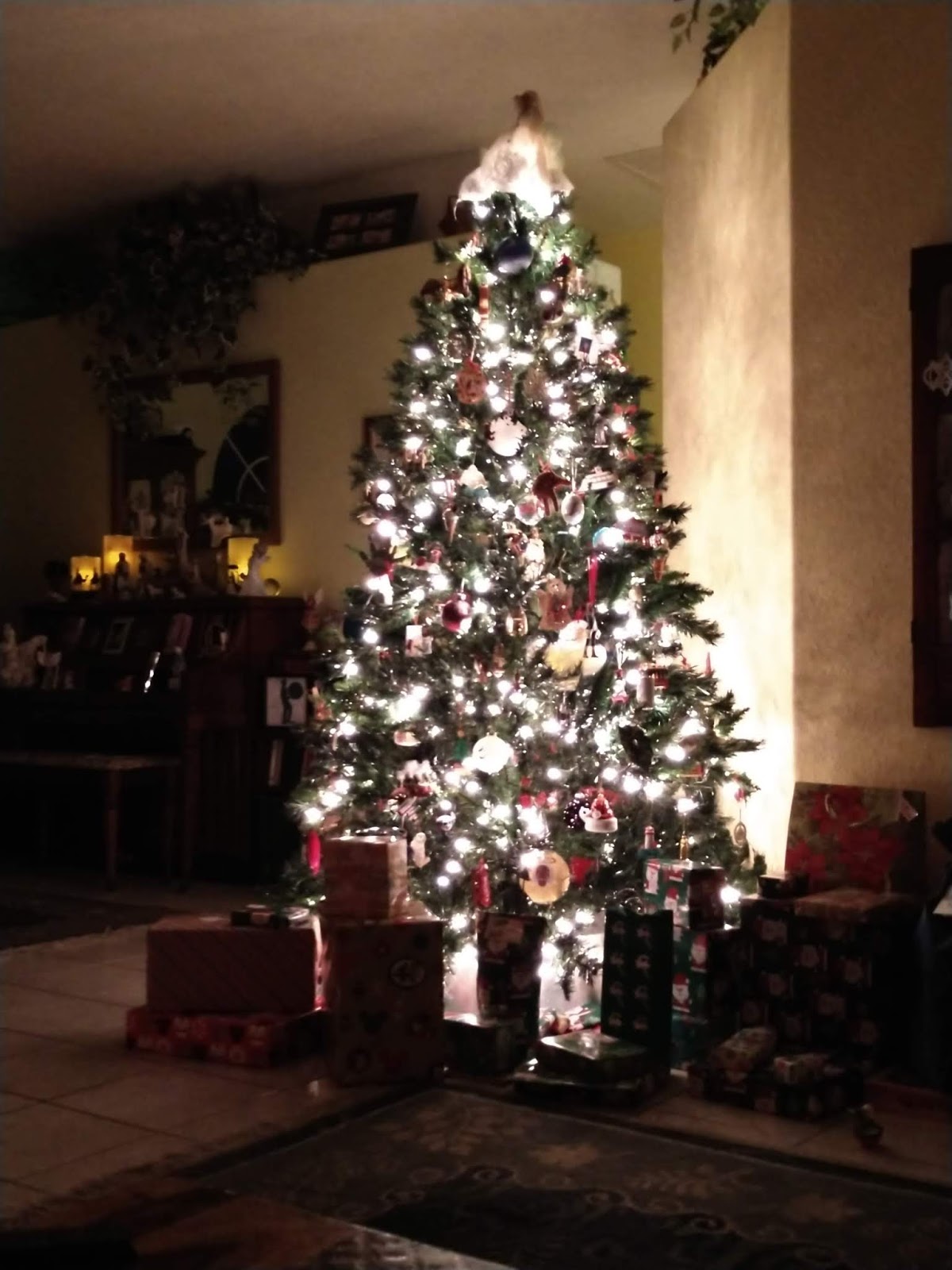 beyond grace the lights go dim...