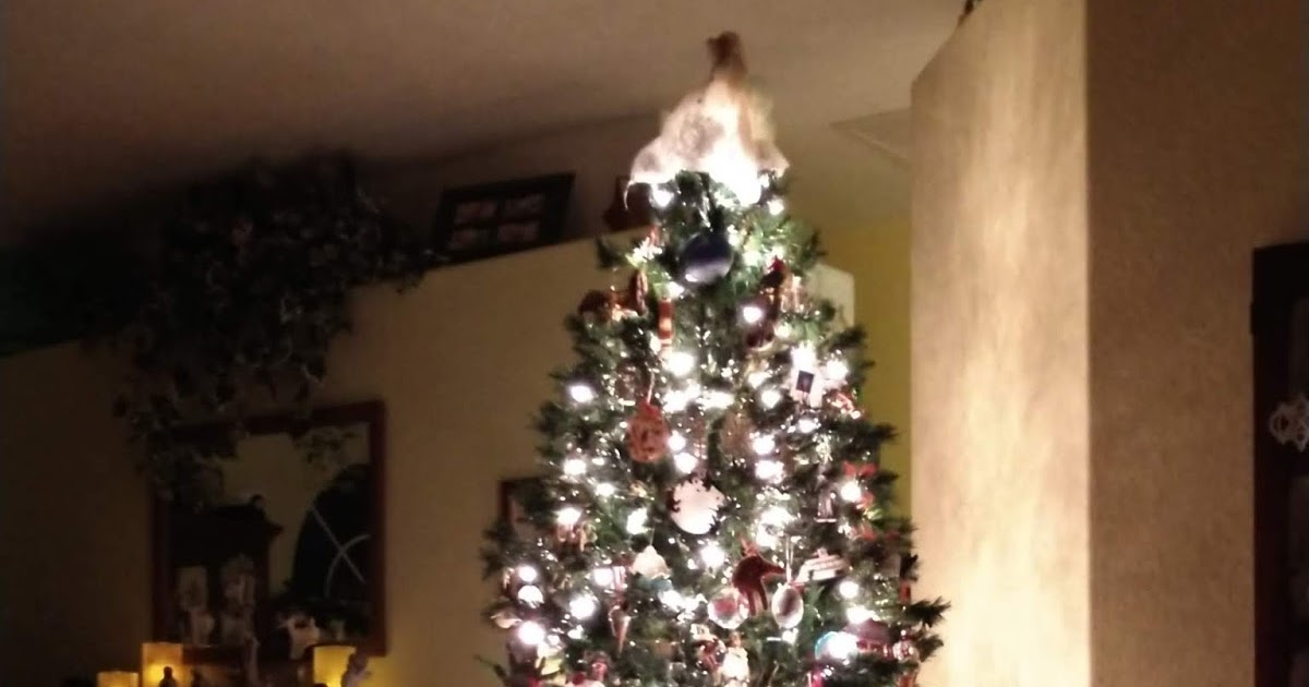 beyond grace the lights go dim...