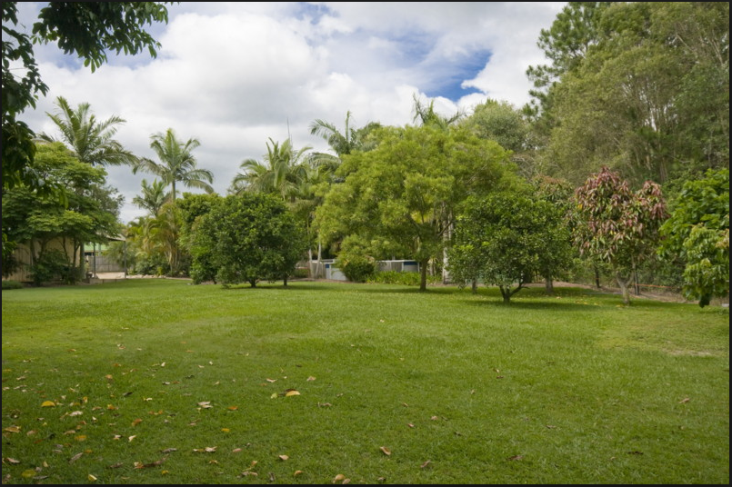 Ask Cathy Real Estate