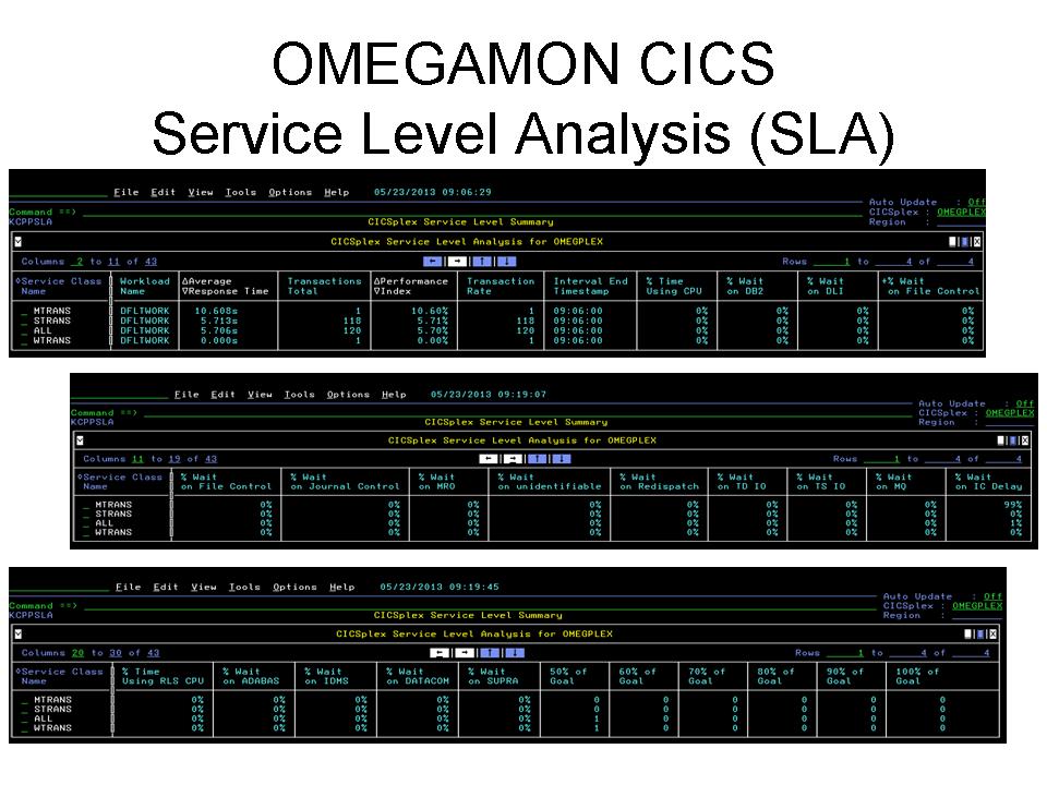 Omegamon For Cics User S Guide