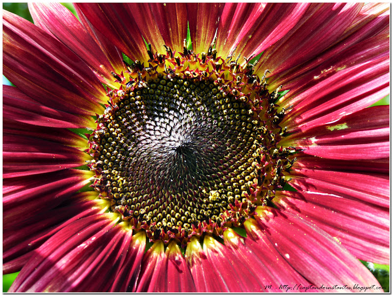 La llave del tiempo Gira el Mundo, gira…