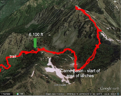 Trail Through Carne Basin to Carne Mountain and Area of Larch (Google Earth)