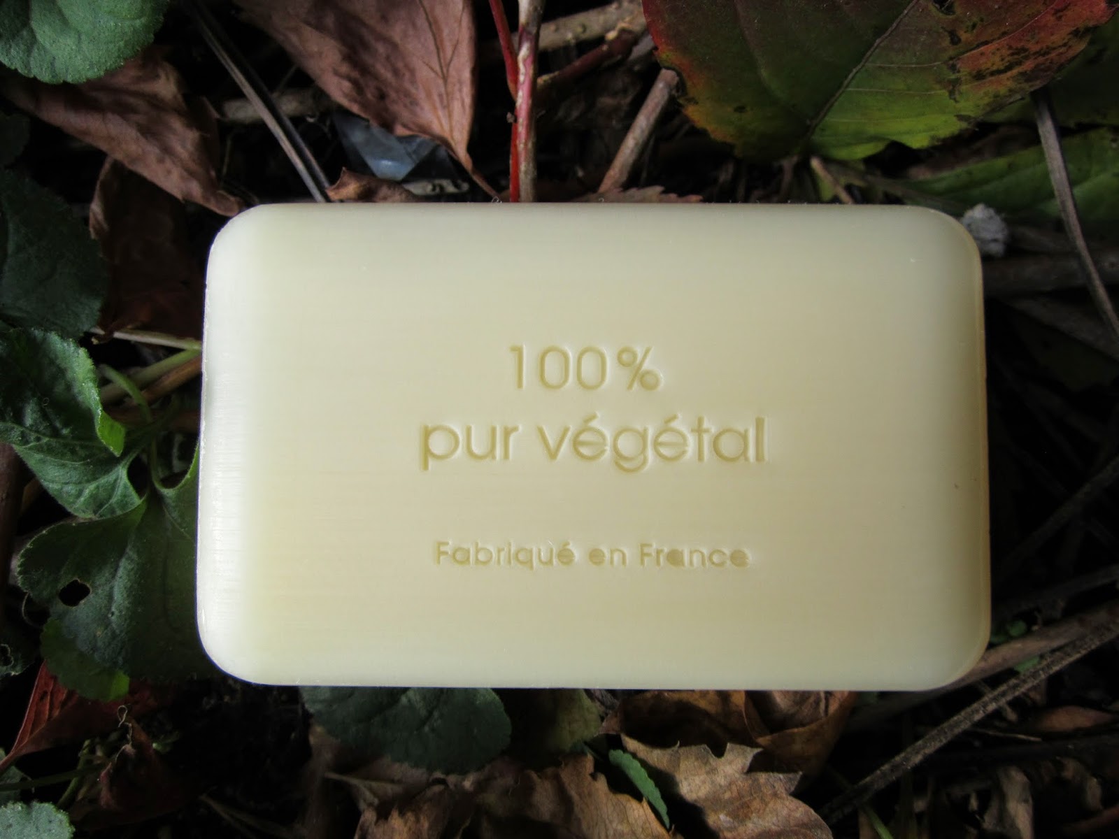 Naturalna Dusza Wielkie odkrycie w TK MAXX, czyli mydło Cactus Pear