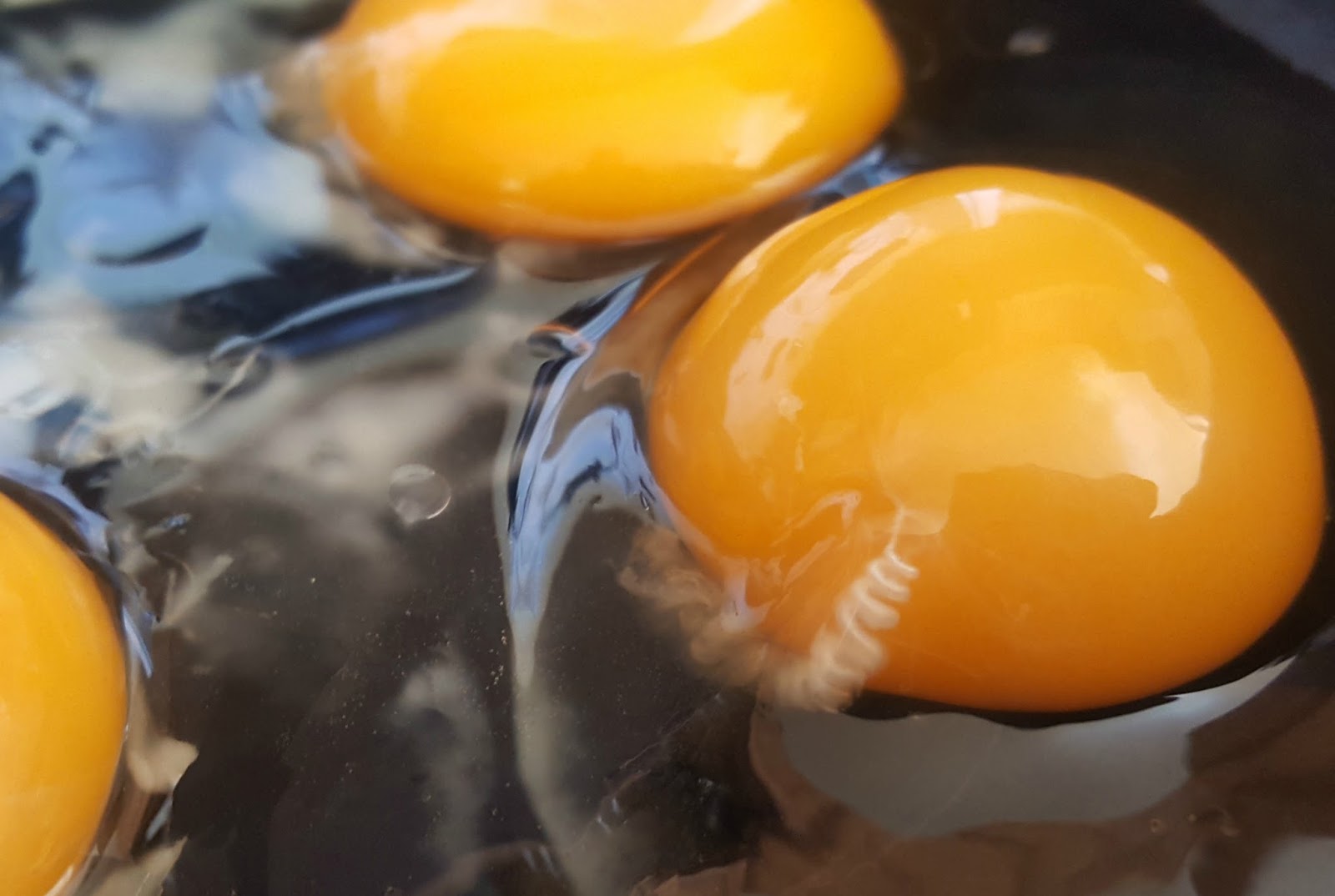 Egg Anatomy | What&#39;s Inside that Eggshell Anyway? - Fresh Eggs Daily®