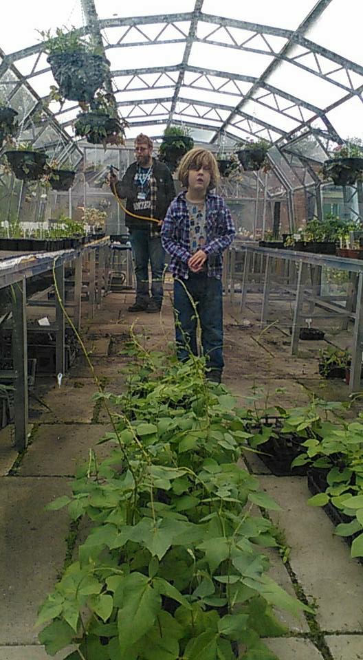 Keeping Care of Hopwood Life on Pig Row