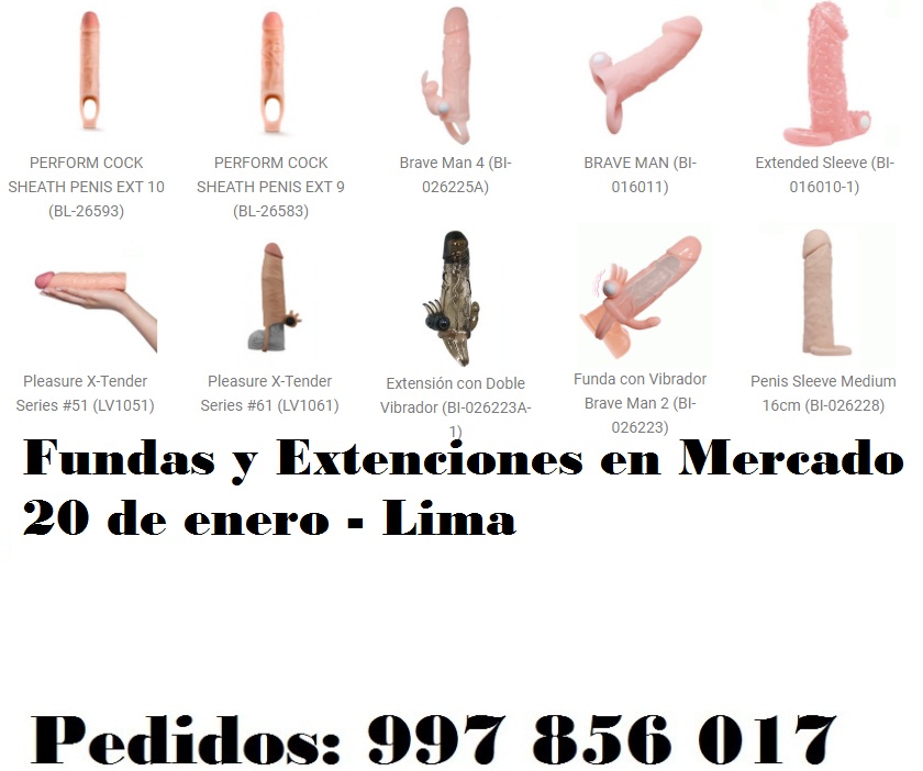 en Mercado 20 de enero - Lima